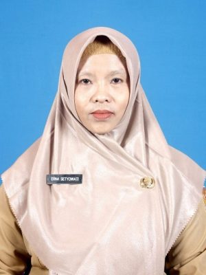 Erna Setyowati, AMK