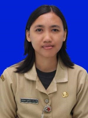 Dina Anggawati, AMAK